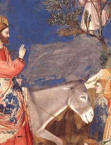 Palm Sunday: Francis Welcomes the Messianic King
