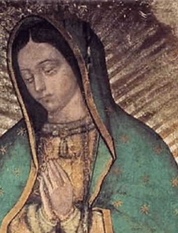 Our Lady of Guadalupe and the Franciscans